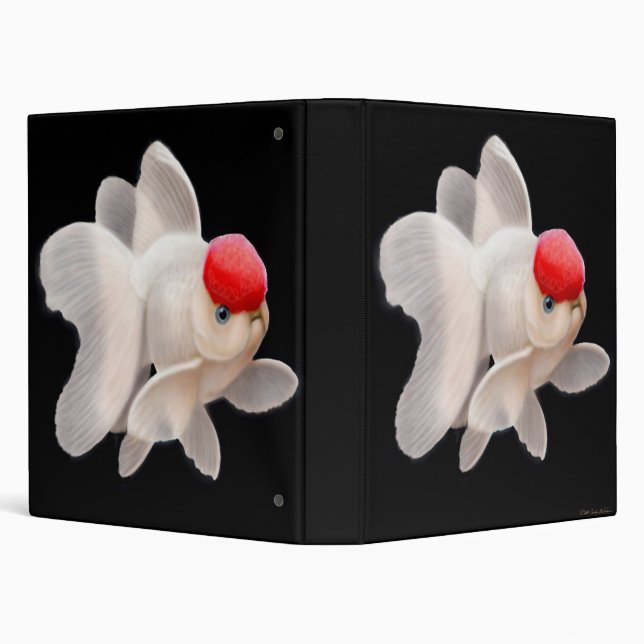 Red Cap Oranda Goldfish Binder (Background)