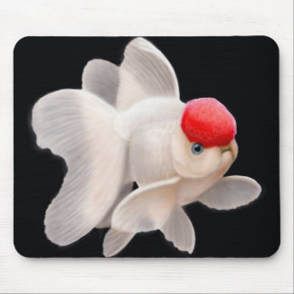 Red Cap Oranda Goldfish Mousepad