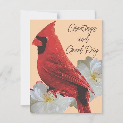 Red cardinal and white roses note card