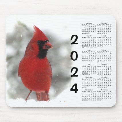 Red Cardinal Bird  2024 Animal Nature Calendar