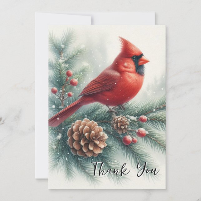 Red Cardinal Bird and Pine  Thank You Card (Front)