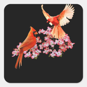 Red Cardinal Bird And Pink Flowering Dogwood Square Sticker