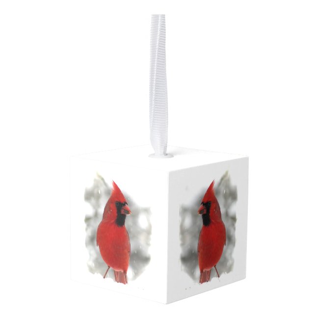 Red Cardinal Bird Animal Cube Ornament