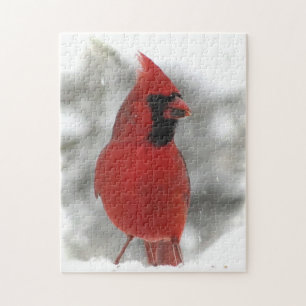 Red Cardinal Bird Animal Puzzle