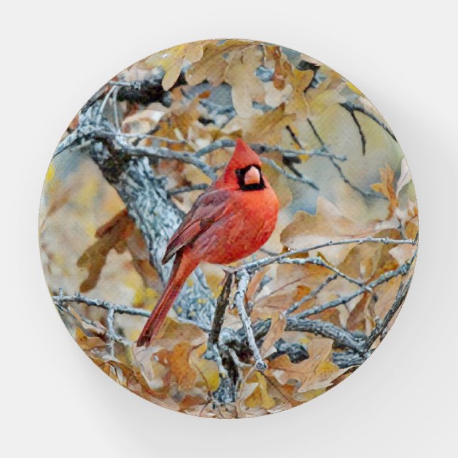 Red Cardinal Bird Art Glass Paperweight (Front)