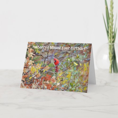 Red Cardinal Bird Belated Missed Birthday Card