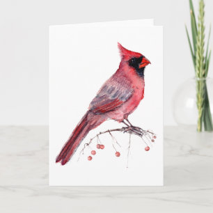 Red Cardinal Bird Card