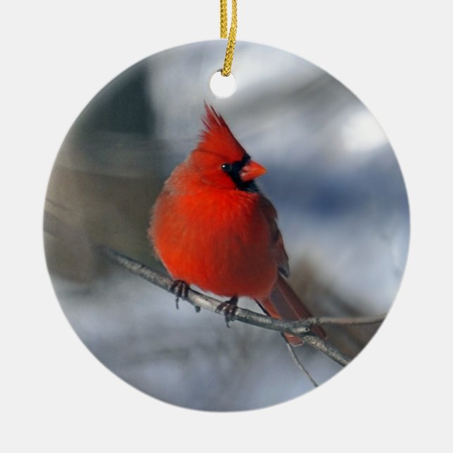 Red Cardinal Bird Ceramic Ornament (Front)