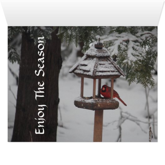 Red Cardinal Bird Christmas Greeting (Inside Horizontal (Bottom))