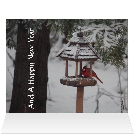 Red Cardinal Bird Christmas Greeting (Inside Horizontal (Top))