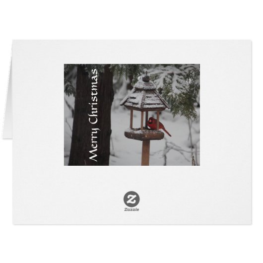 Red Cardinal Bird Christmas Greeting (Back Horizontal)