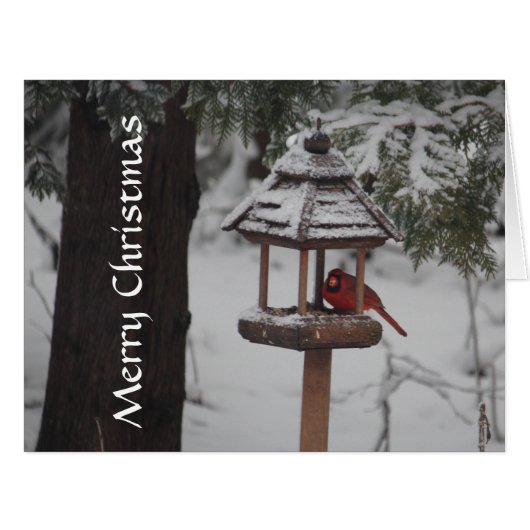 Red Cardinal Bird Christmas Greeting Cards (Front Horizontal)