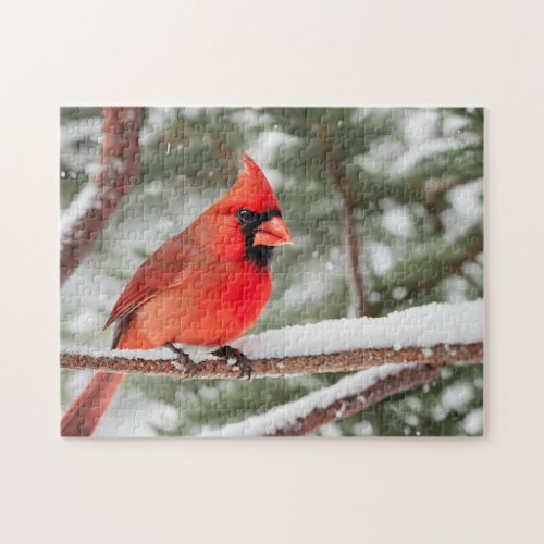 Red Cardinal Bird Close_Up Jigsaw Puzzle