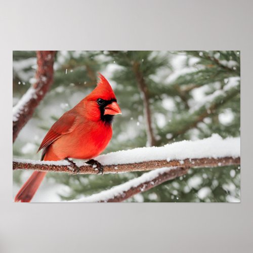 Red Cardinal Bird Close_Up Poster