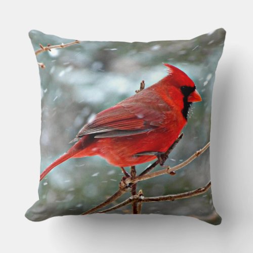 Red Cardinal bird cold winter day Throw Pillow