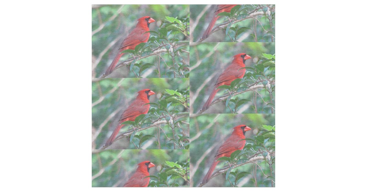 Red Cardinal Bird Fabric | Zazzle