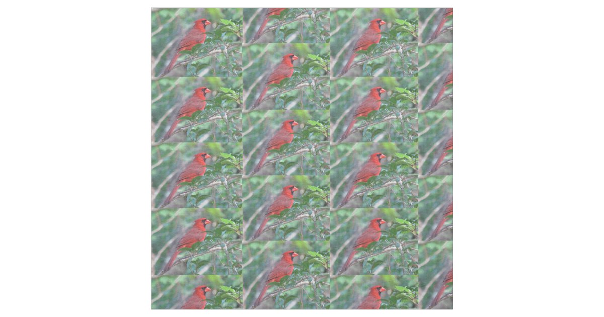 Red Cardinal Bird Fabric | Zazzle