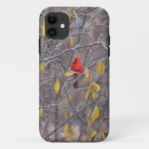 Red Cardinal Bird Fall Autumn Tree Phone Case