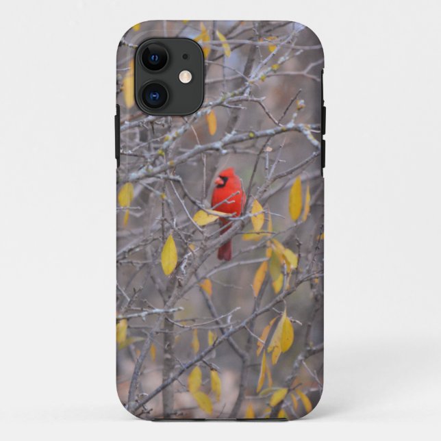 Red Cardinal Bird Fall Autumn Tree Phone Case (Back)