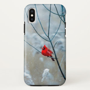 Red Cardinal Bird in beautiful snowy Frosty Winter iPhone X Case