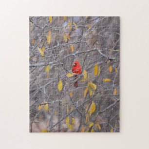 Red Cardinal Bird in Fall Season Tree Nature Jigsaw Puzzle