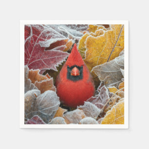 Red Cardinal Bird in Frosty Autumn Leaves Napkins