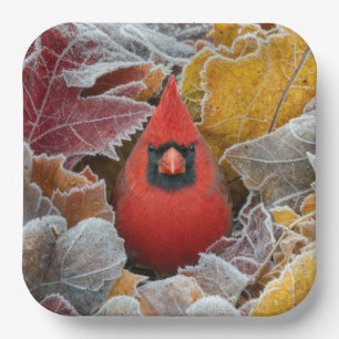 Red Cardinal Bird in Frosty Autumn Leaves Paper Plates