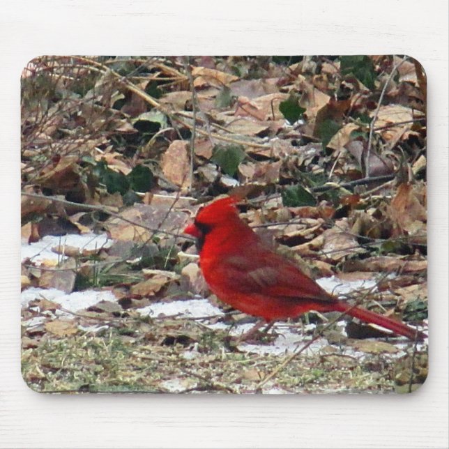 Red Cardinal Bird in Leaves Mouse Pad (Front)