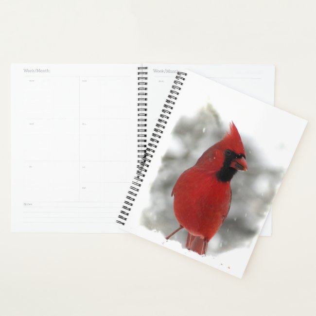 Red Cardinal Bird in Snow