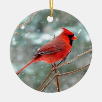 Red Cardinal Bird In Snow Winter Ceramic Ornament by cbendel at Zazzle