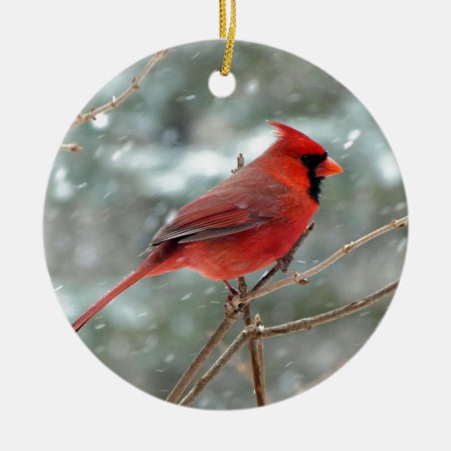 Red Cardinal Bird in Snow Winter Ceramic Ornament (Front)