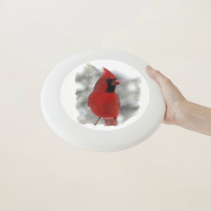 Red Cardinal Bird in Winter Snow Frisbee