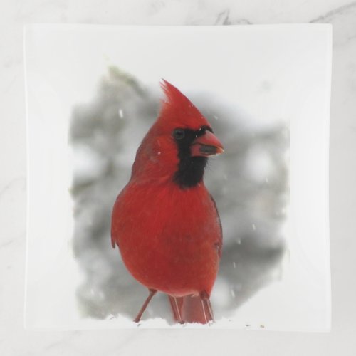 Red Cardinal Bird in Winter Snow Trinket Tray