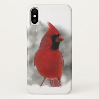 Red Cardinal Bird iPhone X Case