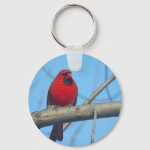 Red Cardinal/Bird Keychain