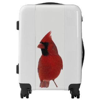 Red Cardinal Bird Luggage