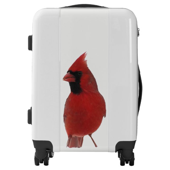 Red Cardinal Bird Luggage (Front)