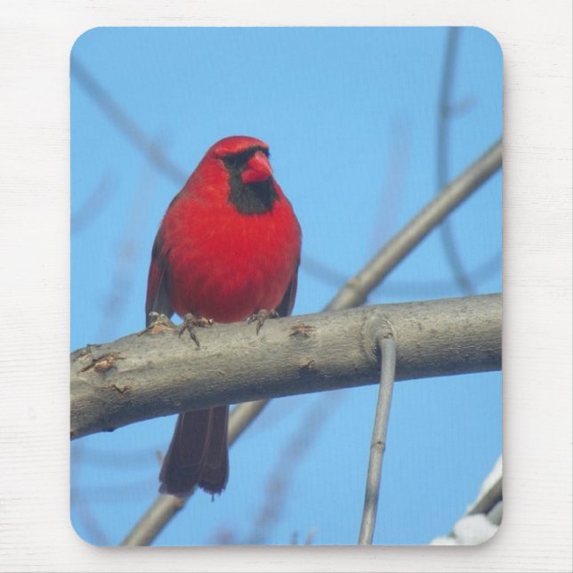Red Cardinal/Bird Mouse Pad (Front)