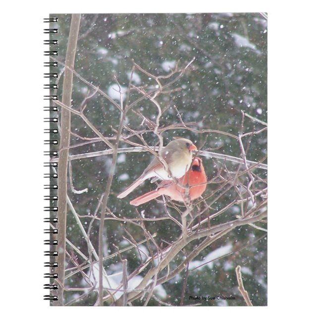 Red Cardinal Bird Notebook (Front)