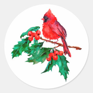 Red Cardinal Bird on Holly Berry Branch Classic Round Sticker