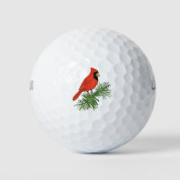 Red Cardinal Bird on Pine Tree
