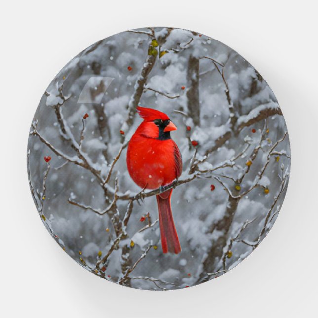 Red Cardinal Bird on Snow Tree Art Paperweight (Front)