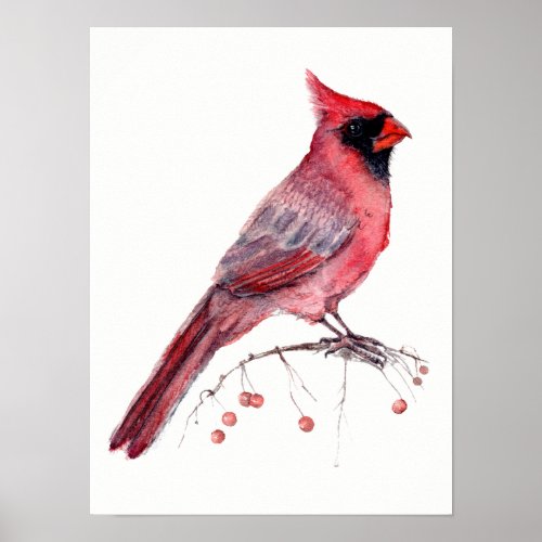 Red Cardinal Bird Poster