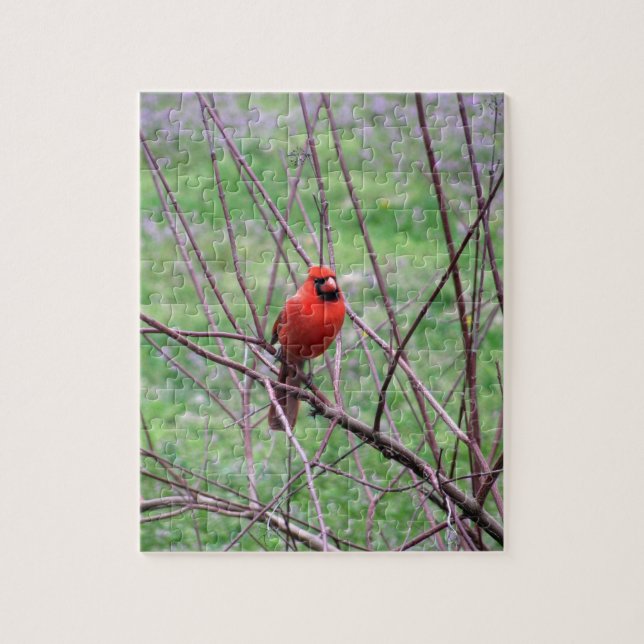 Red Cardinal Bird Sitting on Branch Jigsaw Puzzle (Vertical)