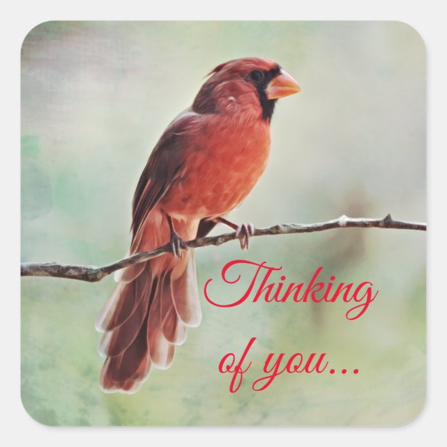Red Cardinal Bird Thinking of you Sticker (Front)
