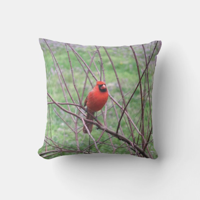 Red Cardinal Bird Throw Pillow (Front)