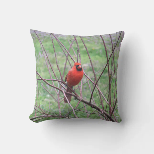 Red Cardinal Bird Throw Pillow Zazzle