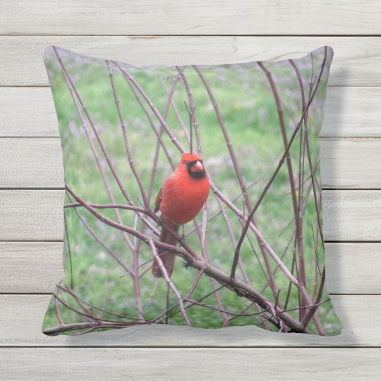 Red Cardinal Bird Throw Pillow