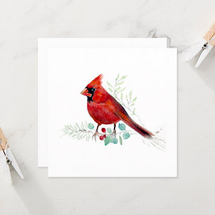 Red Cardinal Bird Watercolor