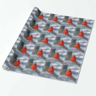 Red Cardinal Bird Wrapping Paper